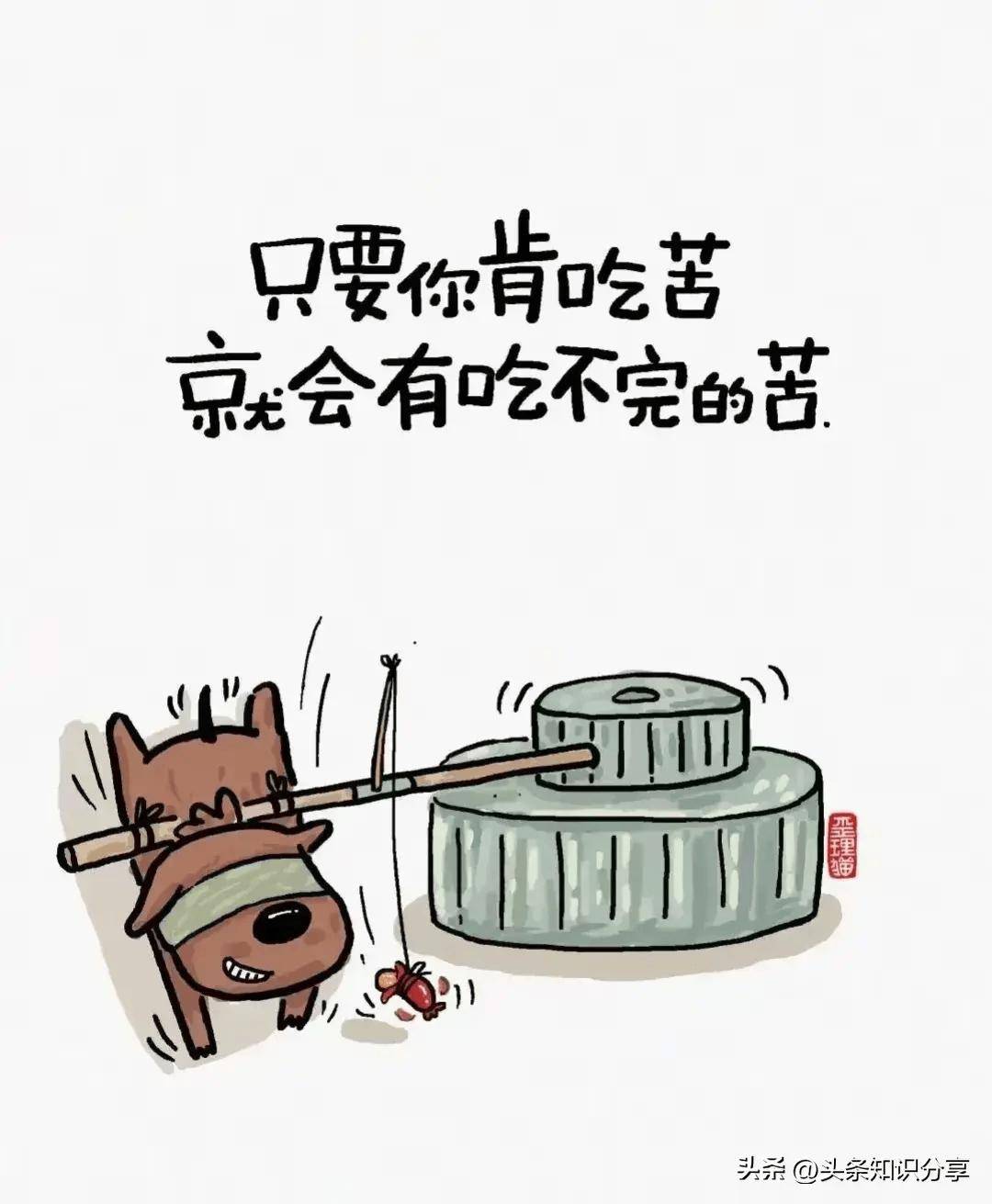 人生歪理,歪的有道理,值得好好看看,看完瞬间清醒!