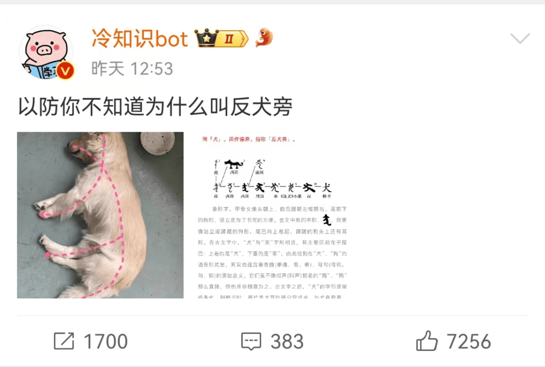 福建人都念“狂犬旁”吗?_影响_反犬旁_网友