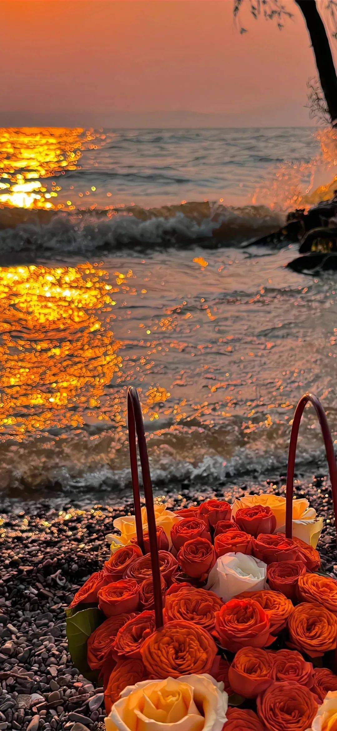 壁纸|值得用很久的全屏壁纸