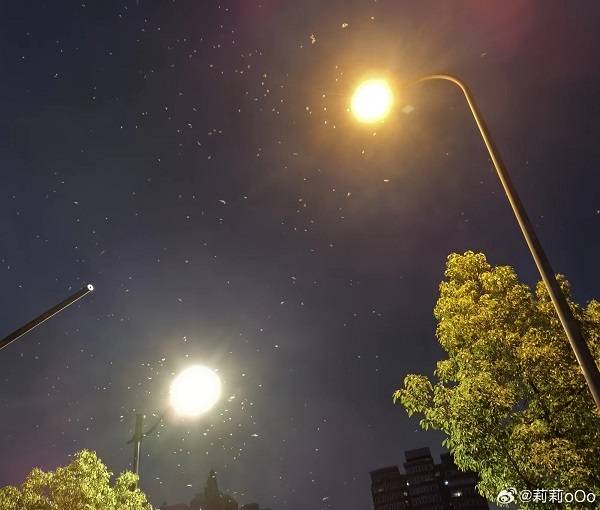 11)气候闷热潮湿,仿佛有一只无形的手按动了启动键,傍晚起,本市突现