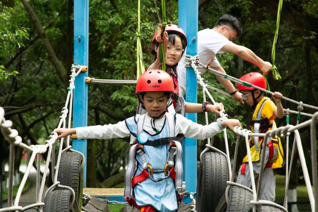 【夏令营】叮!您关注的暑期活动终于上线啦!