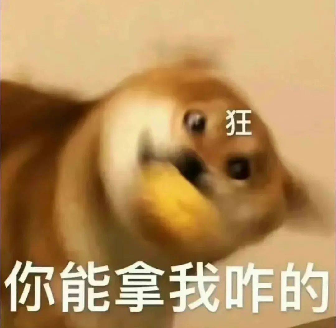 快收起来!又污又可爱的表情包