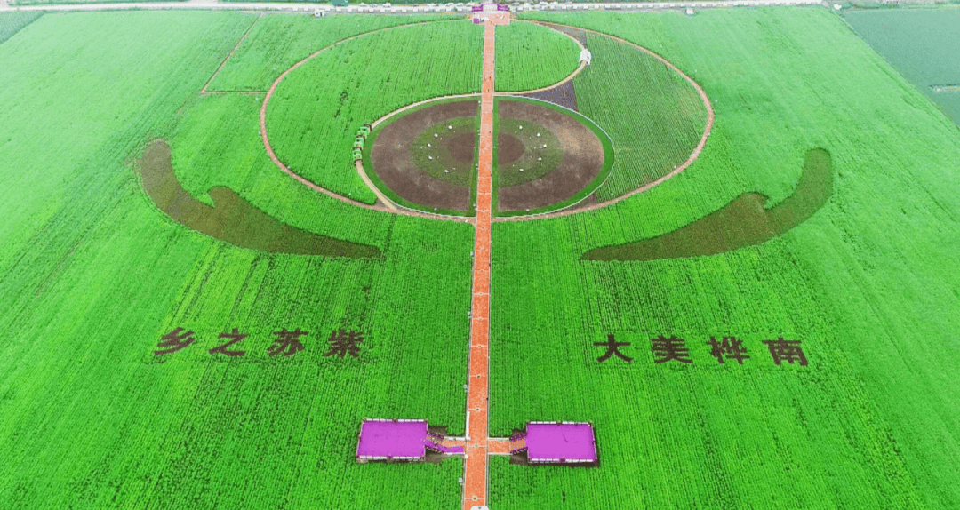 黑龙江省|中央专项彩票公益金推进乡村振兴 加快构建革