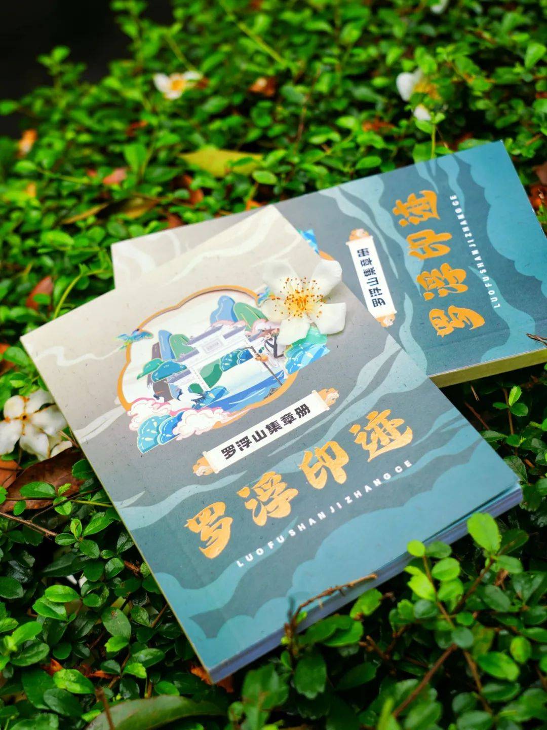 惠州这个国家5a级旅游景区,免票!_罗浮山_优惠_印章