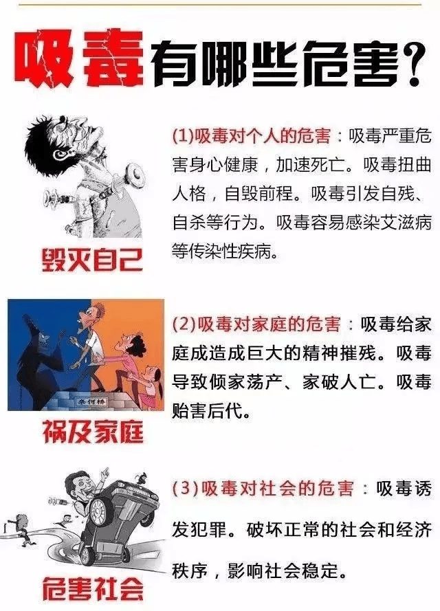 毒品的危害有哪些?图片