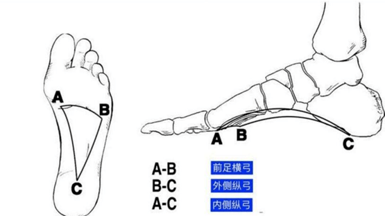 18 岁左右