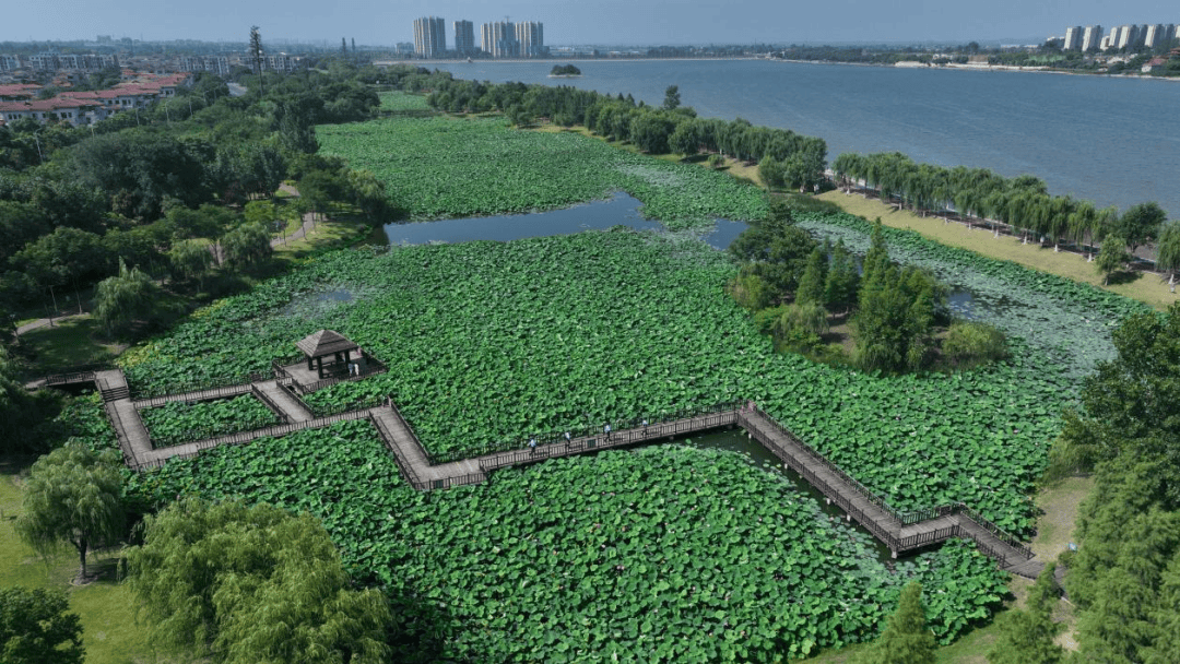 连日来,湖北省荆门市公安局漳河新区分局双喜派出所在凤凰湖湿地公园