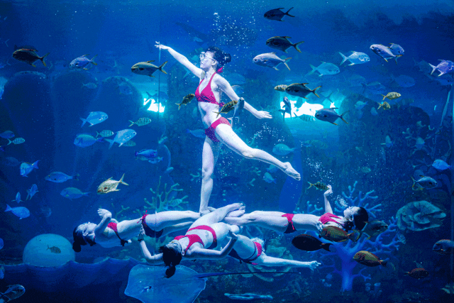 水中芭蕾带给大家浪漫的童话爱情美人鱼公主和英俊的王子在海底世界水