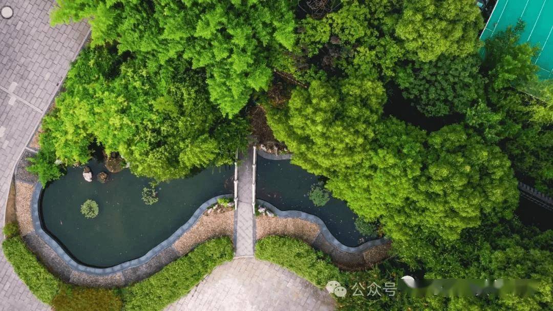 镇江经开区大港中学2024年招生公告