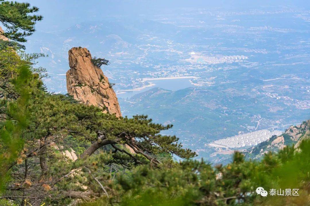 泰山夏意浓|邂逅夏日天烛峰的盎然野趣