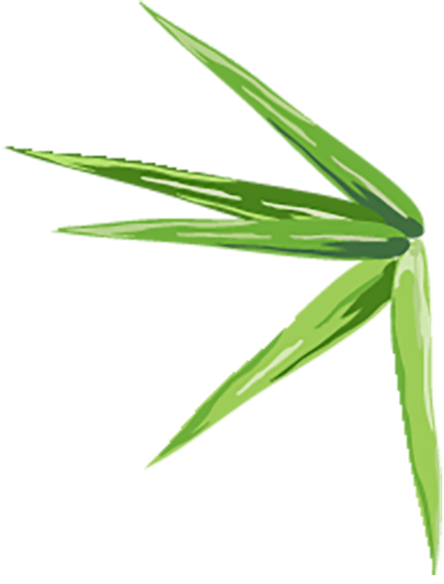 火车站→御泉风情→明月山温汤旅游度假区游客中心→明月湾维景酒店