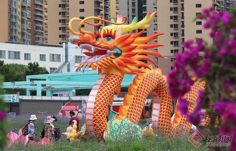 昆明宜良花街节:龙凤呈祥迎佳节 繁花锦绣庆端午