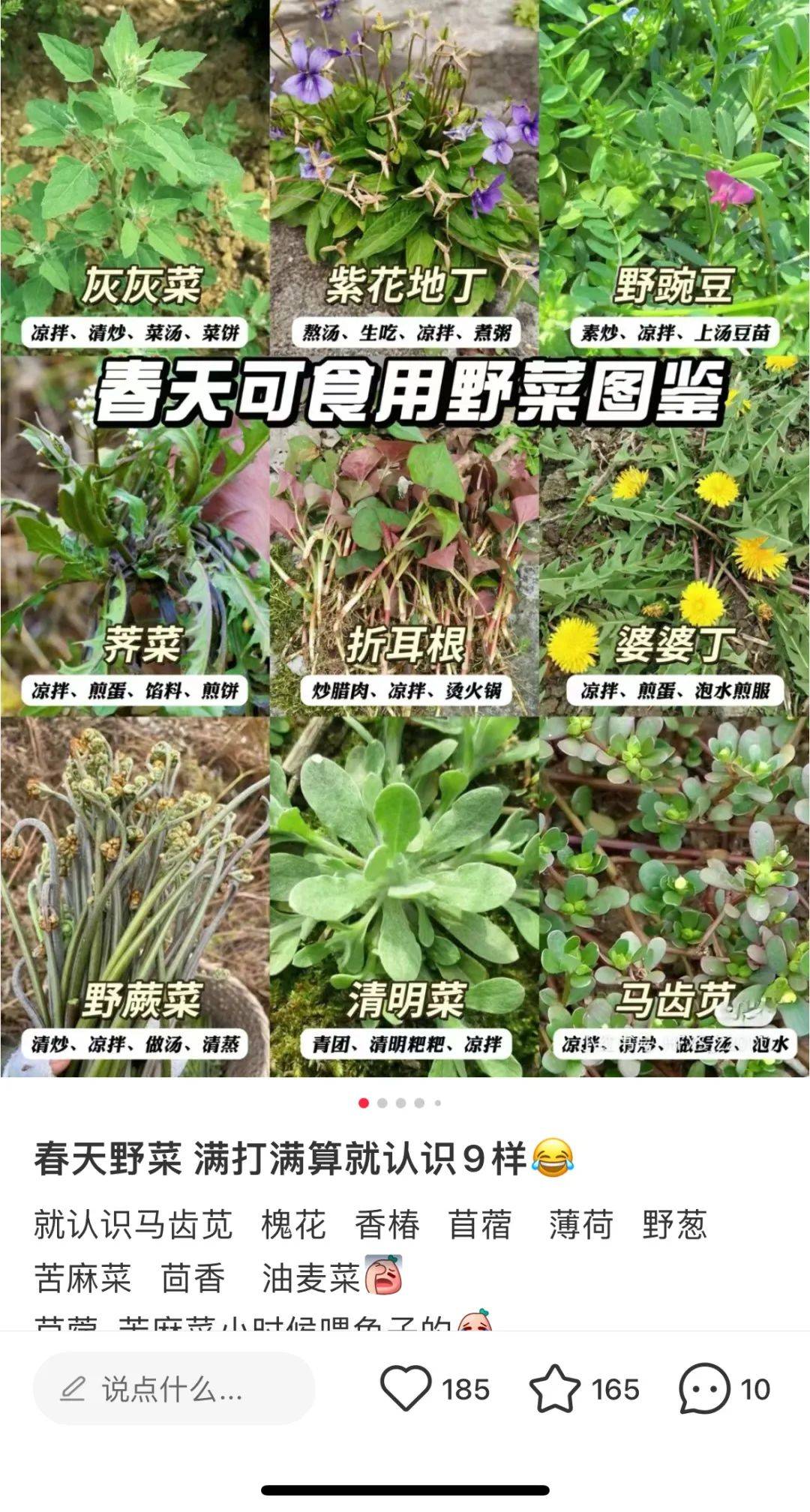 老人挖野菜迷路 还好有他们