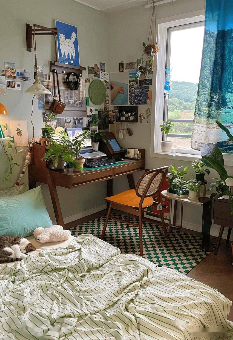 温馨小窝太治愈了!每一处都散发着浓浓的生活气息,简直完美!