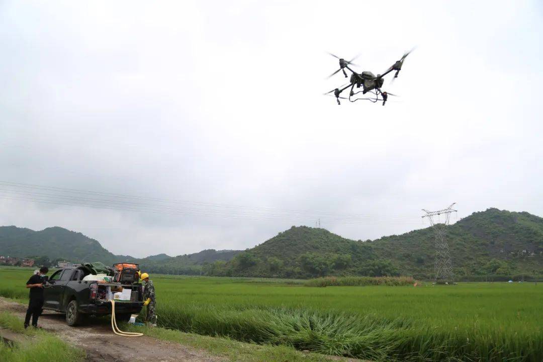 江州区:开展"一喷多促" 助力夏粮提质增产