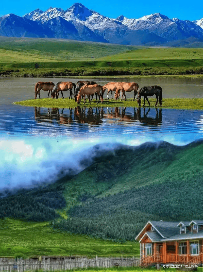 达州青青草原风景区图片