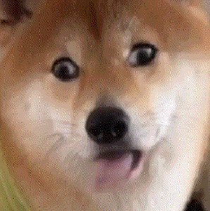 超可爱的piano小羊表情包大全↑↑↑戳上方小程序查看下载提醒:由于