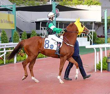 赛日头条| c 3栏圣手显威风