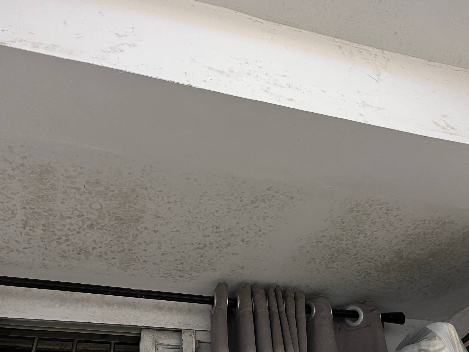 对于从外地来广东工作的陈女士而言,也难以适应家中发霉的情况.