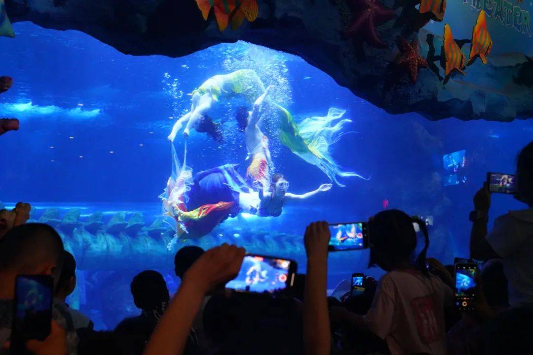 月光皎洁时曲江池畔的风景美得仿佛梦的世界留下毕业旅行难忘的记忆