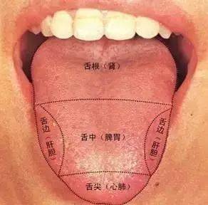 舌根部长了小舌头图片图片