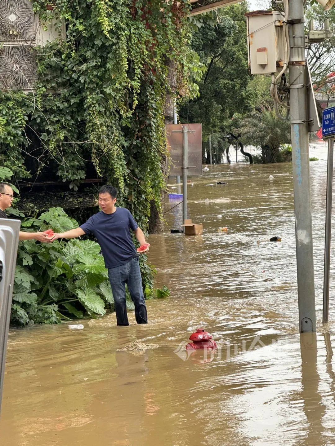 柳州今早出现82.52米洪水!河堤商户开始"搬家",洪峰水位预计