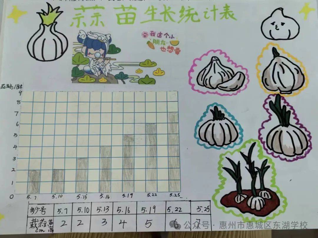 四,项目评价此次观察蒜苗活动不仅让学生