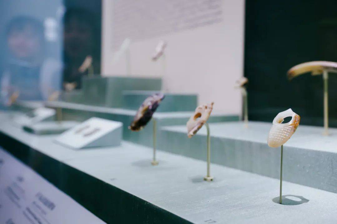 在国博看古人的讲究:从韘(shè)到扳指_中国_展览_形成和发展