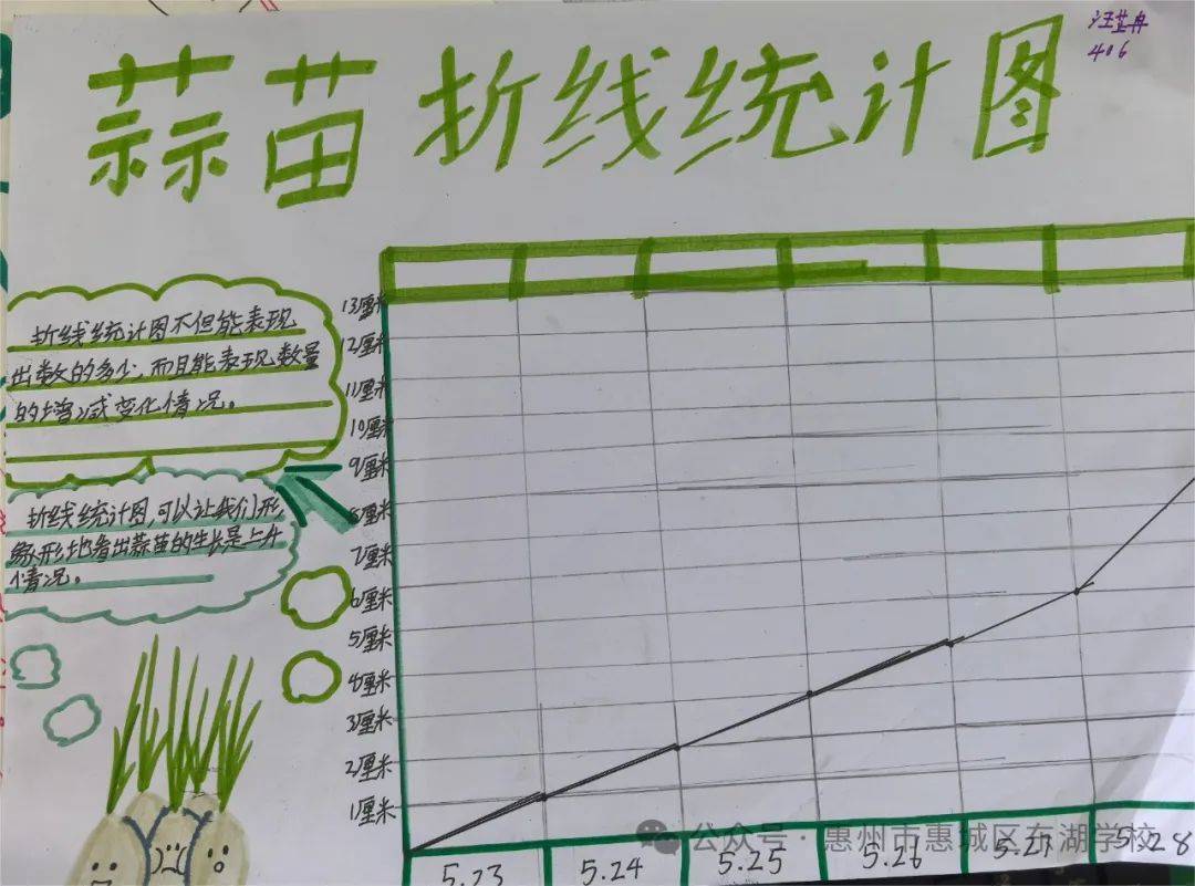 四,项目评价此次观察蒜苗活动不仅让学生