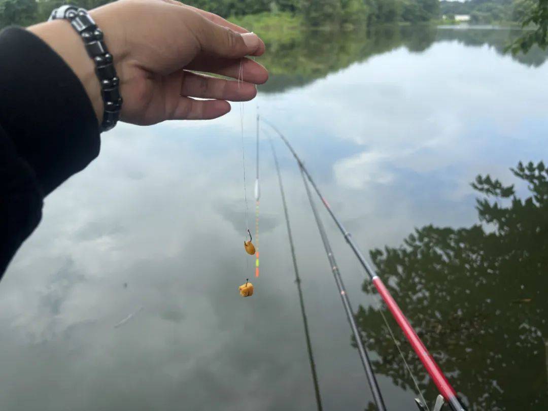 矶竿滑漂钓大鱼,必须掌握的2种"双铅钓法",包教包会!