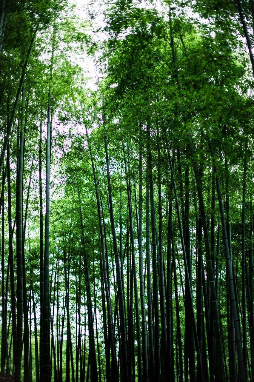 全世界都坐不住了!太让人骄傲了!