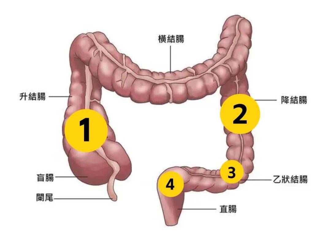 中日友好医院、贩子电话_跑腿挂号轻松搞定！肿瘤科的简单介绍