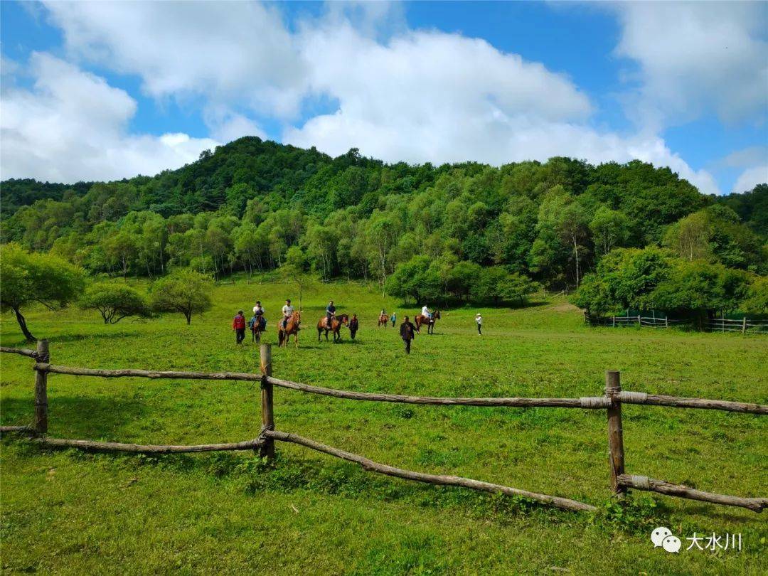 您有一份大水川景区游玩攻略 请查收!