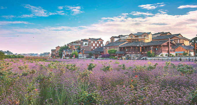 好花红处皆美景_惠水县_发展_乡村旅游