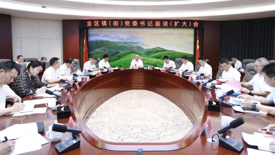 全区镇(街)党委书记座谈(扩大)会召开_工作_发展_杨博
