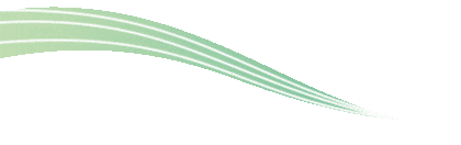 住在8舍305房间的三位园艺学院的直博生唐柯,梁辰和楚文菁,家乡分别