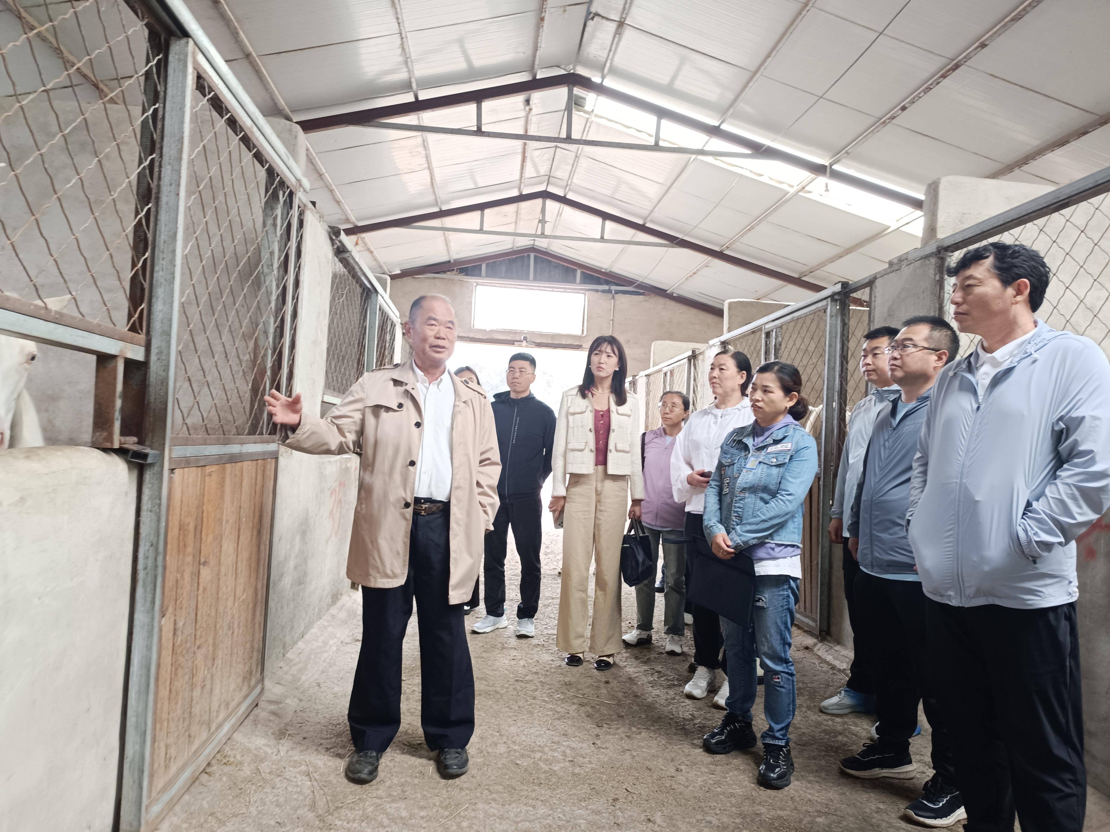 白龙驹新品种培育专家委员会在内蒙古兴安盟成立