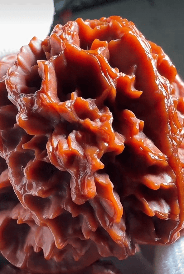 文玩核桃中的虐手神器,没想到这么刺激!