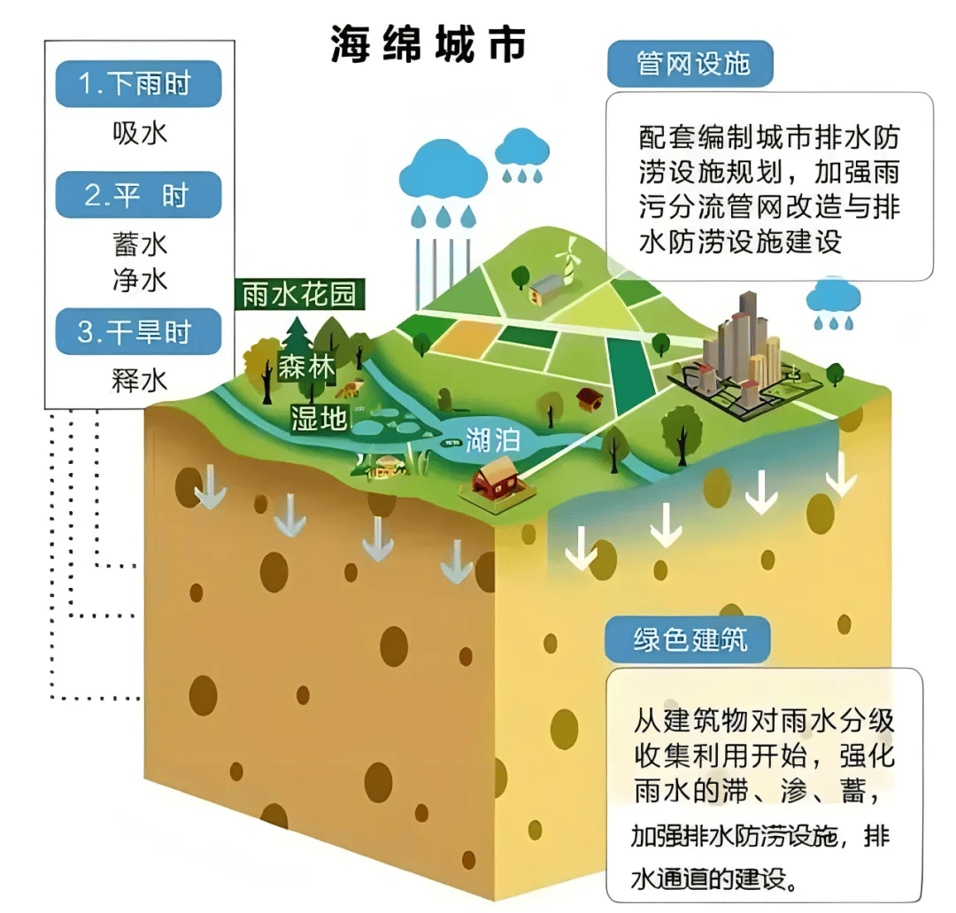 🌸安徽日报【今期澳门三肖三码开一码】_打卡城市公园 畅游空中走廊——夜幕下的中央绿色体育公园太迷人