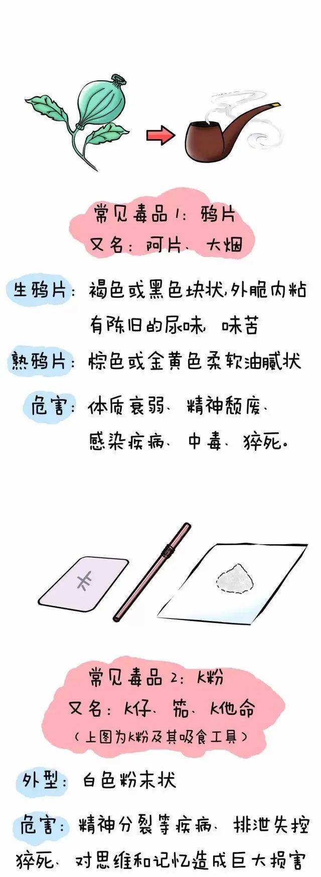 毒品思维导图图片