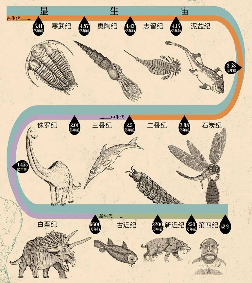 收藏级地球科普插画集,还原46亿年地球演化史