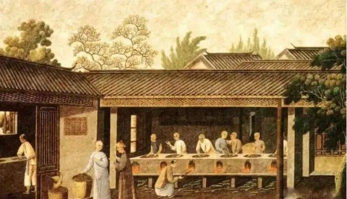 养生小妙招 中药代茶饮_胖大海_作用_患者