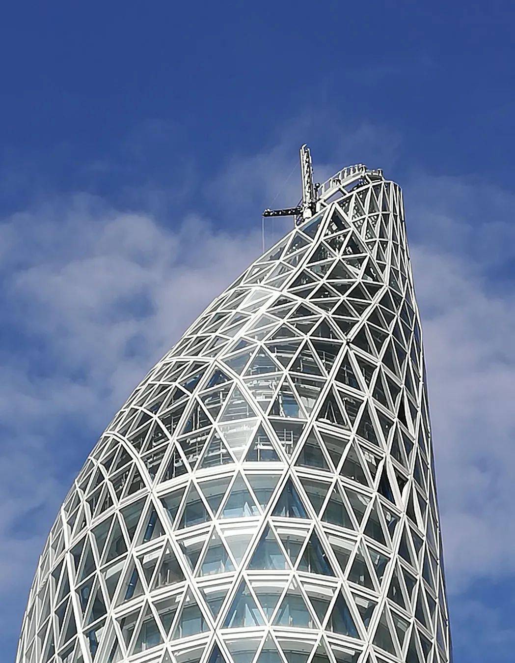 意大利米兰"树枝"大厦