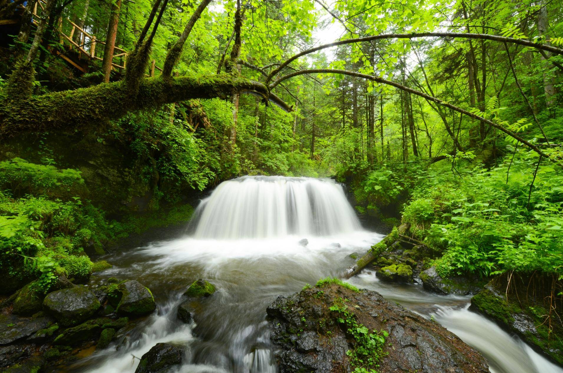 集长白山北坡神韵 展二道白河镇秀美,在大戏台河风景区尽享青山碧水