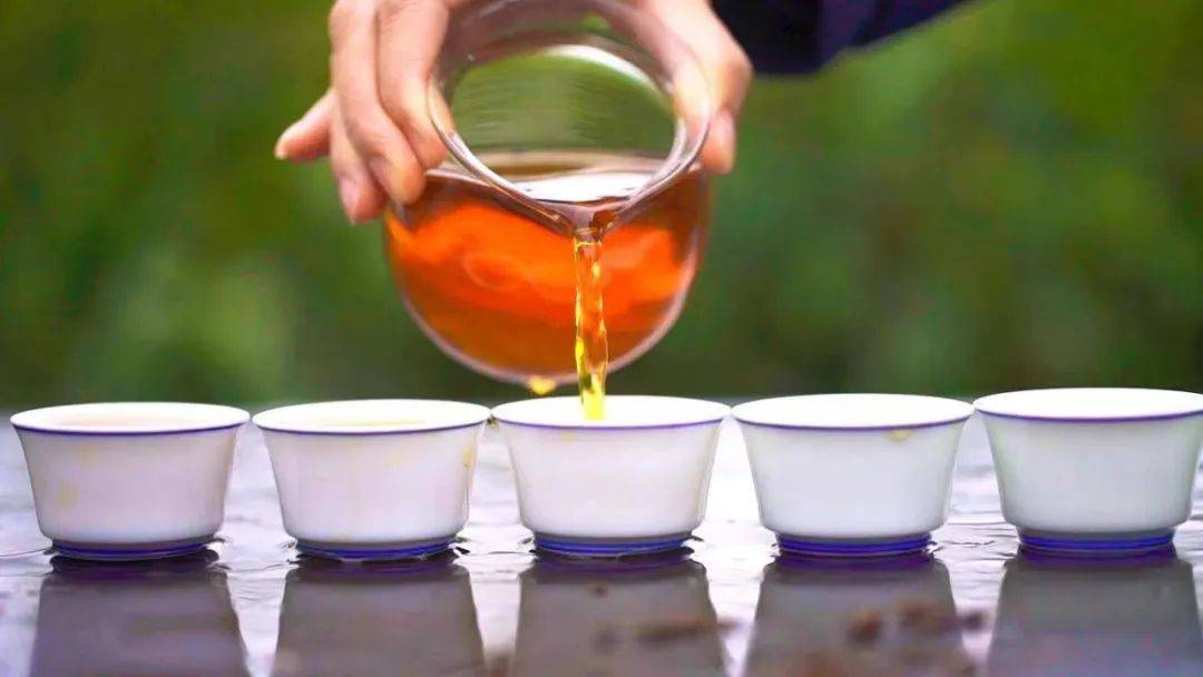 一起了解南川大树茶传统制茶技艺_茶叶_茶树_千年