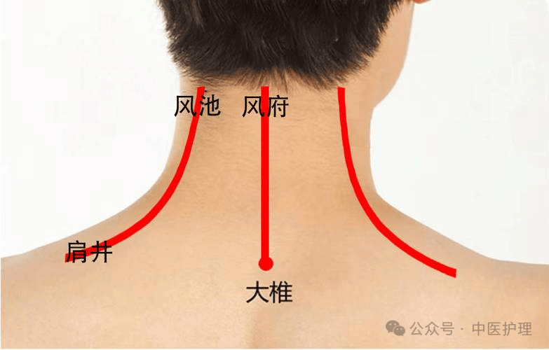 颈椎疼刮痧刮哪里图解图片