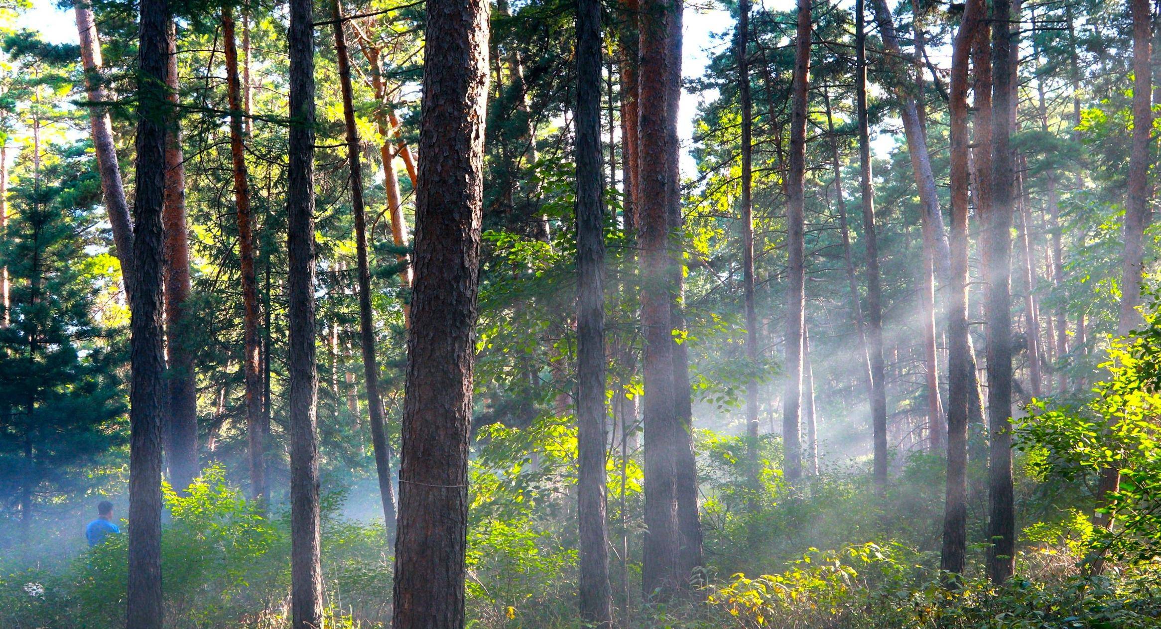 集长白山北坡神韵 展二道白河镇秀美,在大戏台河风景区尽享青山碧水