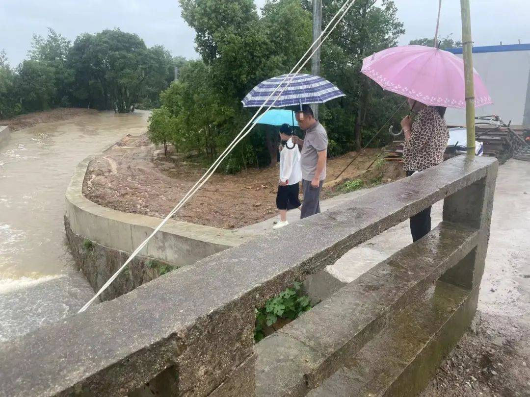 汛情就是命令,枞阳县各级妇联组织闻"汛"而动,彰显巾帼担当