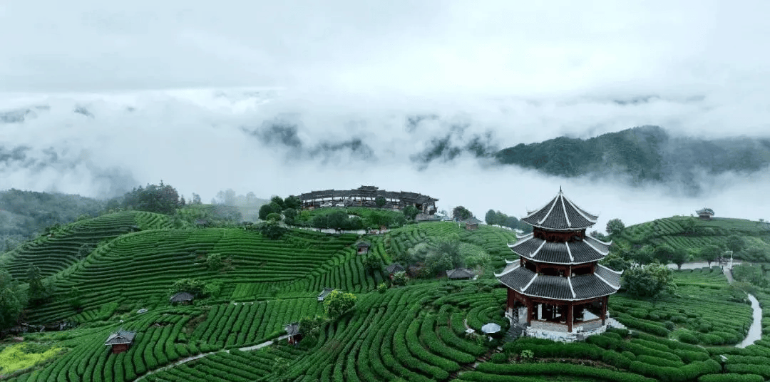 升级打造世界级,5a级,国家级……广西这些景区有新目标!