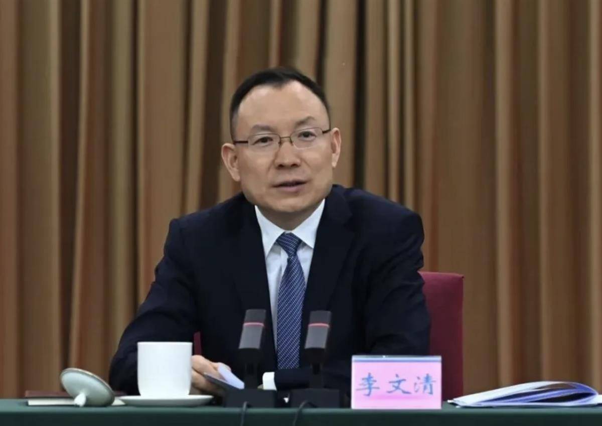 李文清,升任副省级_四川省_发展_控股